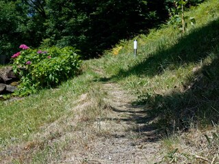 DSC_6697_DxO