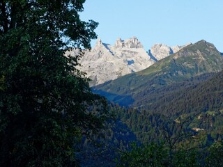 DSC_6730_DxO