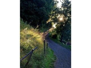 DSC_6765_DxO