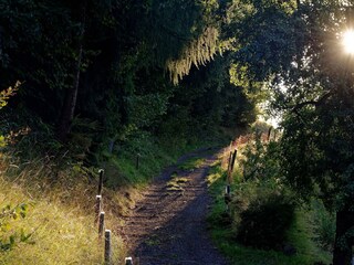 DSC_6766_DxO