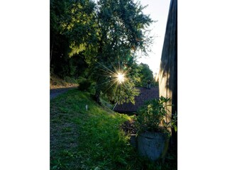 DSC_6769_DxO
