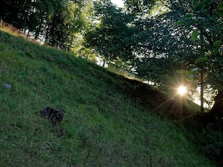 DSC_6781_DxO