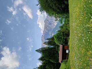 Sommer