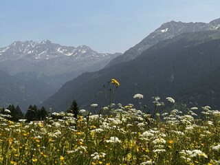 Aussicht
