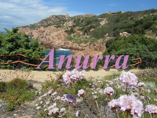 Villa Costa Paradiso Ambiente 38