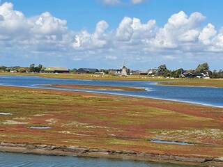 Casa per le vacanze Scharendijke Ambiente 23