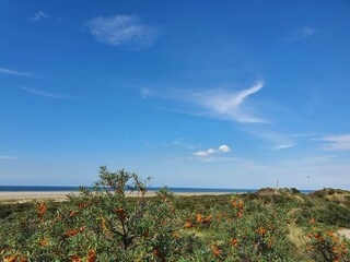 Casa per le vacanze Scharendijke Ambiente 25