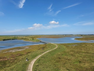 Vakantiehuis Scharendijke Omgeving 27