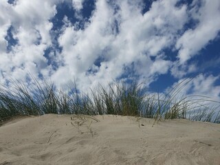 Casa per le vacanze Scharendijke Ambiente 34