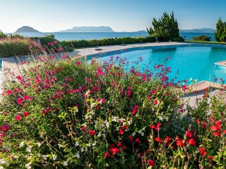 Appartamento Golfo Aranci Registrazione all'aperto 6