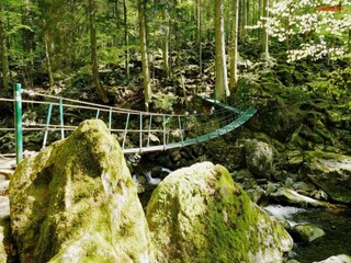 Appartement Freyung Omgeving 15