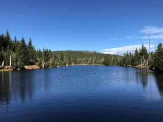 Apartment Freyung Environment 33