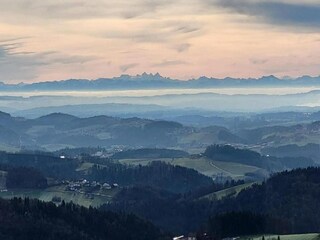 Appartamento Freyung Ambiente 45