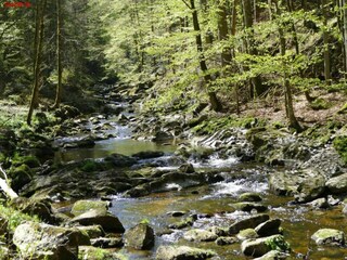 Appartamento Freyung Ambiente 20