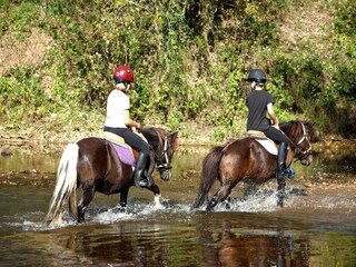 Vakantiepark Souillac Omgeving 24