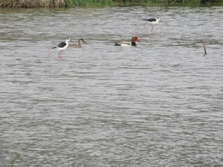 Villa Saint-Saturnin-lès-Apt Omgeving 33