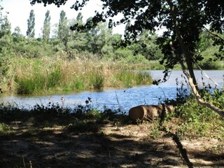 Villa Saint-Saturnin-lès-Apt Omgeving 38