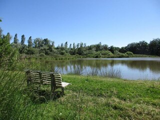 Villa Saint-Saturnin-lès-Apt Ambiente 39