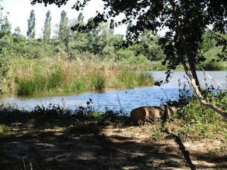 Villa Saint-Saturnin-lès-Apt Environment 31