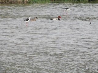 Villa Saint-Saturnin-lès-Apt Environment 38