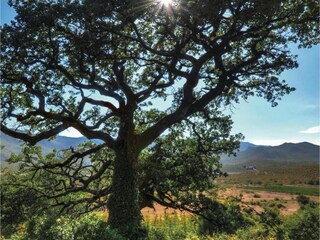 Villa Trilj Omgeving 32