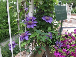 Casa per le vacanze Castagneto Carducci Registrazione all'aperto 9