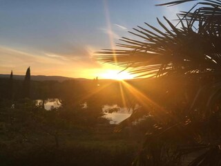 Casa per le vacanze Castagneto Carducci Ambiente 34