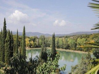 Casa per le vacanze Castagneto Carducci Ambiente 37