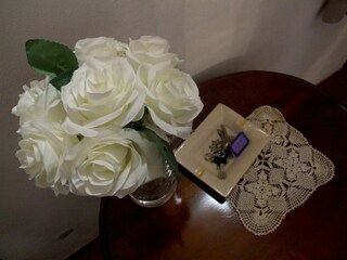 Casa per le vacanze Pisa  40