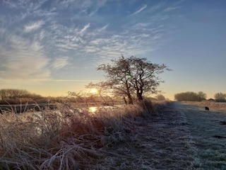 Chalet De Veenhoop Omgeving 17