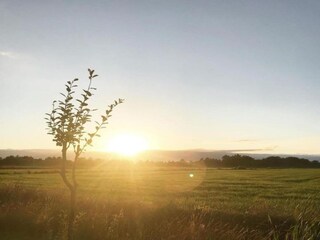 Chalet De Veenhoop Umgebung 29