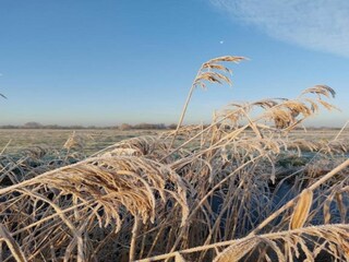 Chalet De Veenhoop Ambiente 30