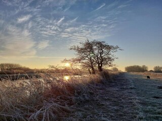 Chalet De Veenhoop Umgebung 25