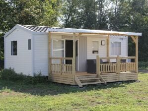 Compact 4 person chalet in Friesland - De Veenhoop - image1