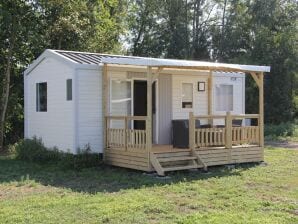 Kompaktes 4-Personen-Chalet in Friesland - De Veenhoop - image1