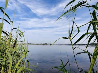 Chalet De Veenhoop Environnement 27