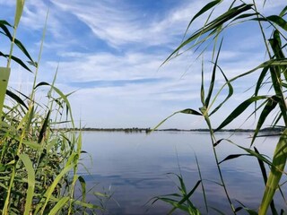 Chalet De Veenhoop Ambiente 26