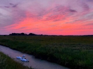 Chalet De Veenhoop Umgebung 28