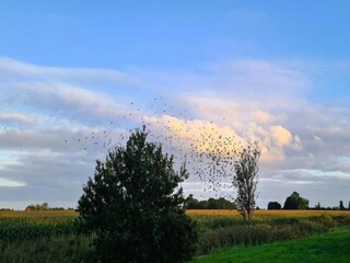 Chalet De Veenhoop Entorno 28