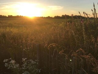 Chalet De Veenhoop Umgebung 32