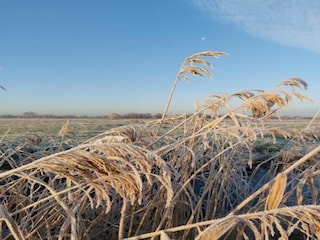 Chalet De Veenhoop Omgeving 32
