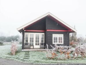 Gemütliches Chalet mit Palettofen - De Veenhoop - image1