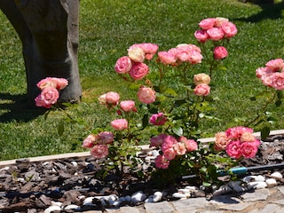 Casale Olhos de Agua Pianta del piano 21