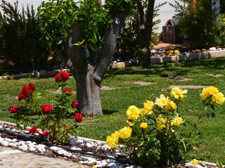 Casale Olhos de Agua Pianta del piano 23