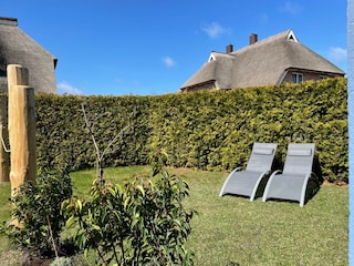 Garten mit Liegestühlen