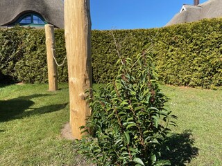 Ferienwohnung Born an der Darß Außenaufnahme 13