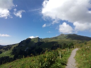 Appartamento per vacanze Schoppernau Ambiente 13