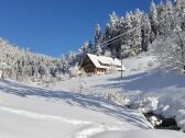 Winterlandschaft im Reichenbach