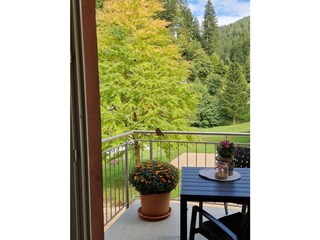 Ausblick von der Küche auf die Schwarzwaldlandschaft