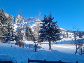 Appartamento per vacanze Welschnofen Ambiente 33